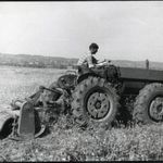 Dutra traktor fűkaszával, mezőgazdaság, jármű, 1950-es évek, szocializmus, Eredeti fotó, hátulján... fotó