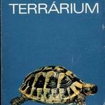 Pénzes Bethen: Terrárium - 1972. fotó