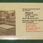 Kártyanaptár, Erdért vállalat 13.sz telep Mátészalka, 1970, , S, fotó