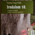 Irodalom 10. II. Tankönyv (Nagy Csilla) 2014 (újszerű) 7kép+tartalom fotó