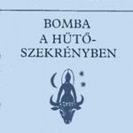 Pentti Saarikoski Bomba a hűtőszekrényben fotó