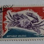 1971 Tengeri élet 5 CFA - Nyugat afrikai CFA frank fotó