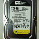 WD Western Digital 250GB HDD merevlemez SATA 100/100 #5323 fotó