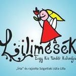 Lilimesék - Egy kis tündér kalandjai fotó