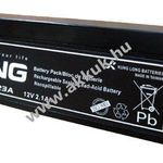 Ólom akku Long (Kung Long) típus WP1223A (régi WP1223W) 12V 2, 1Ah fotó