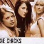 DIXIE CHICKS - TOP OF THE WORLD TOUR LIVE (2003) DVD fotó