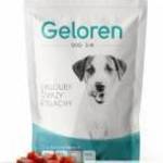 Geloren Dog Small 60db/180g - VetPlus fotó