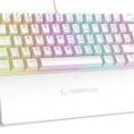 Rampage Billentyűzet - PLOWER K60 White US (Vezetékes, Mechanikus, Blue switch, angol, fehér, RGB LE fotó