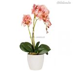 Gyönyörű élethű orchidea 52 cm fotó