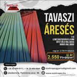 TAVASZI ÁRESÉS ! fotó