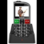 Evolveo EasyPhone FM Dual-Sim mobiltelefon ezüst (EP-800-FMS) (EP-800-FMS) fotó