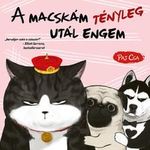 A macskám tényleg utál engem (Macska és Kutya 2.) fotó