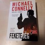 Michael Connelly - Fekete jég (Harry Bosch - A nyomozó 2.) fotó