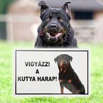 Vigyázz! A kutya harap! - Figyelmeztető tábla fotó