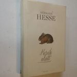 Hermann Hesse: Kerék alatt (*49) fotó