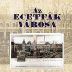 Szántó István - Az ecetfák városa fotó