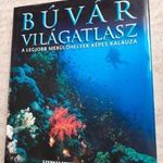 Jack Jackson (főszerk.): Búvár világatlasz - A legjobb merülőhelyek képes kalauza (2003) fotó