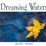 Janos Vizur - Tibor Kercz - DREAMING WATER fotó