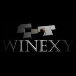 Winexy (PC - Steam elektronikus játék licensz) fotó