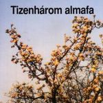 Wass Albert: Tizenhárom almafa - Regény fotó