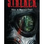 S.T.A.L.K.E.R. - Ház a Mocsárban fotó