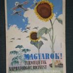 Képeslap, Háborús propaganda, grafikai Mosdossy, Termeljünk olajos nővényeket, napraforgót, ricinus, 1940- fotó