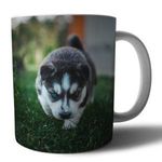 Husky 3 mintás porcelán bögre fotó