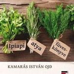 Kamarás István OJD - Ipiapi atya füveskönyve fotó