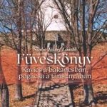 Füveskönyv Kavics a bakancsban, pogácsa a tariszn fotó