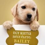 Egy kutya négy élete: Bailey fotó