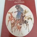 Fazekas Anna: Öreg néne őzikéje - Őzanyó fotó