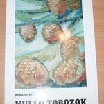 Prokop Péter: Hulló tobozok, v2695 fotó