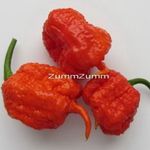 Carolina Reaper chili paprika mag, vetőmag fotó