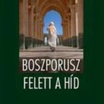 Tolvaly Ferenc - Boszporusz felett a híd fotó