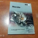 Macska (kisállatkalauz - útmutató az állat tartásáról, táplálásáról és gondozásáról) fotó