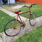 PUCH Single Speed férfi kerékpár fotó