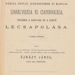 1873 Rába, s vele vízművileg összefüggő Rábcza, Répcze, Kisrábatorok és Marczal szabályozása (*39) fotó