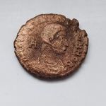 Constantius Gallus: AE Maiorina fotó