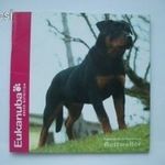 Eukanuba breed nutrition rottweiler angol nyelvű 1 FT-RÓL NMÁ! fotó