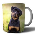 Rottweiler 1 mintás porcelán bögre fotó