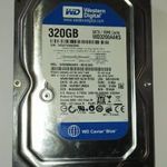 WD Western Digital 320GB HDD merevlemez SATA 100/100 #2845 fotó