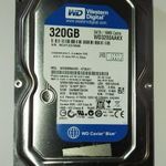 WD Western Digital 320GB HDD merevlemez SATA 100/100 #6508 fotó