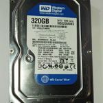 WD Western Digital 320GB HDD merevlemez SATA 100/100 #8839 fotó