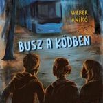 Wéber Anikó - Busz a ködben fotó