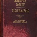 Életrajzom - Egy XIX. századi orgonaépítő naplója fotó