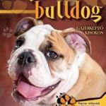 Angol Bulldog - Gazdiképző kisokos fotó