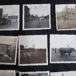 VITANGE 1907 MAGYAR FELIRATOS 19 DB FOTÓ GYŰJTEMÉNY VIDÉK FARM ÁLLATTARTÁS TENYÉSZTÉS BIVALY KOCA fotó