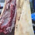 MANGALICA 80-150kg.közötti tanyasi HÍZÓ, élve , félbevágva igény szerint eladók, télre foglalható fotó