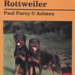 Rottweiler fotó