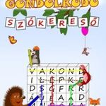 - - Gondolkodó - Szókereső fotó